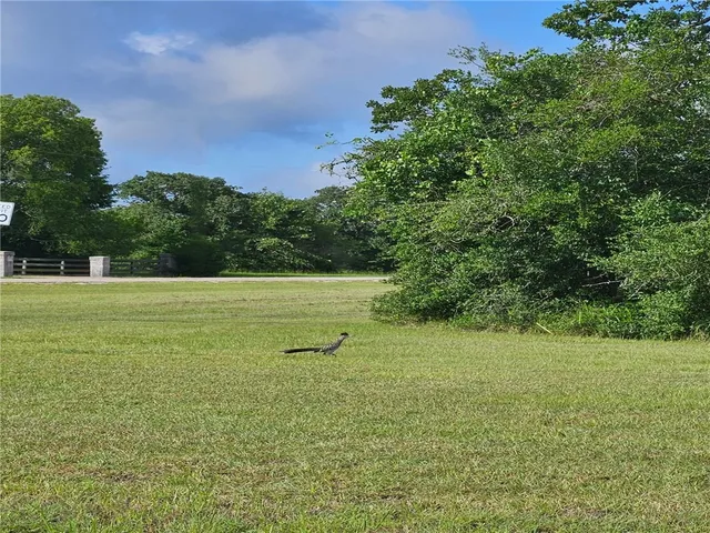 a dining room with furniture potted plants and wooden floor