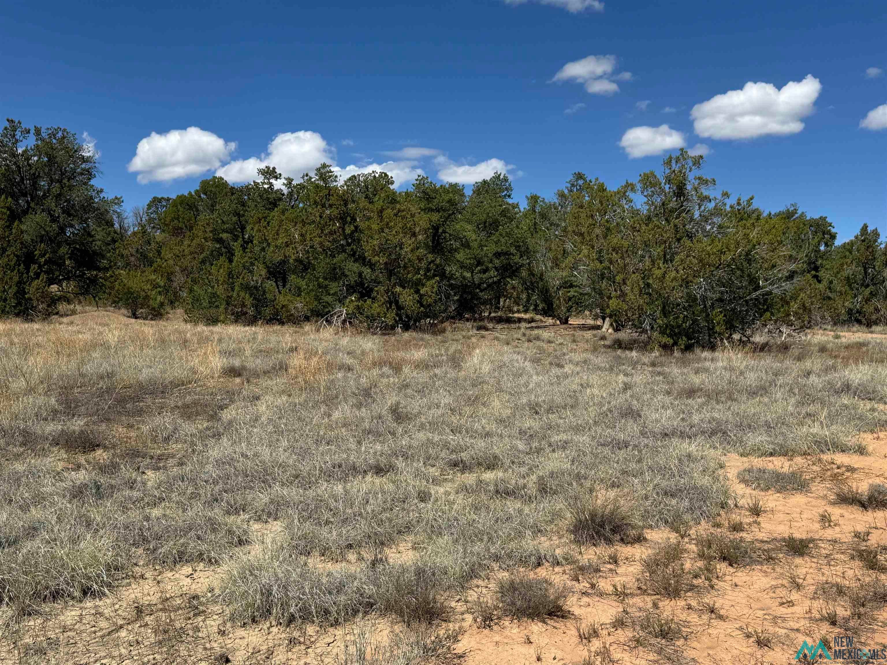 13 Davids Rock Road Candy Kitchen, NM 87357 - Photo 6 of 22 View of nature featuring rural landscape