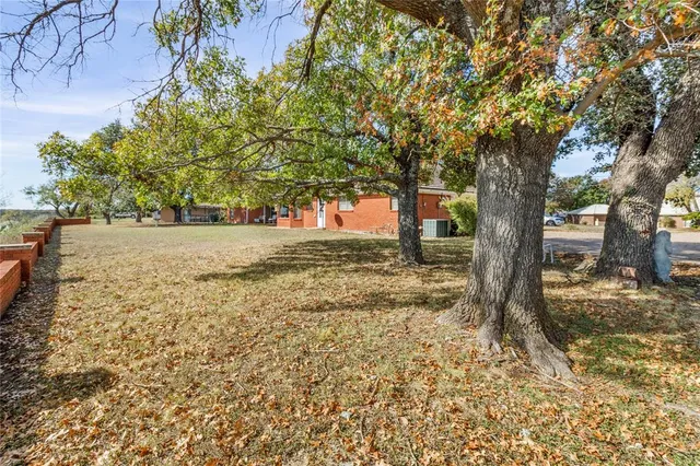 a view of a yard with plants and trees
