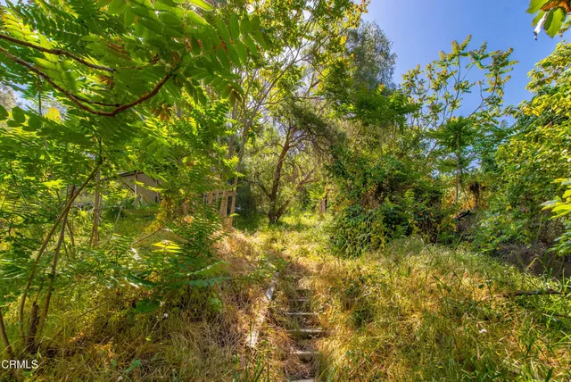 a backyard of a house with lots of green space