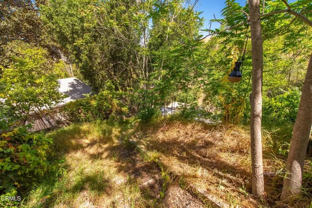 a view of a garden with an outdoor space