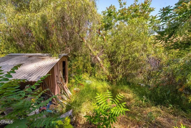 a backyard of a house with flower plants