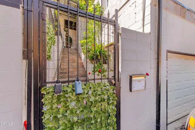a view of a potted plants next to a door