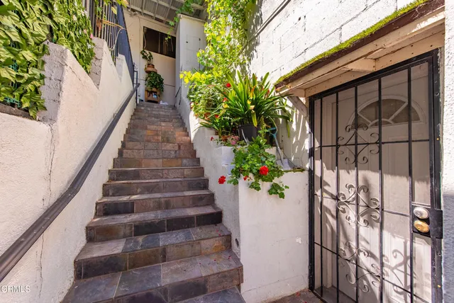 a view of a potted plants next to a building