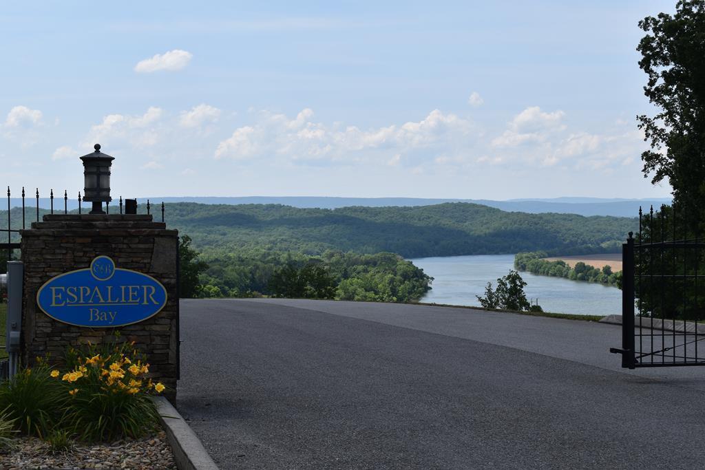 Lot 4 Espalier Drive, Unit 4 Decatur, TN 37322 - Photo 1 of 25 20220320_0