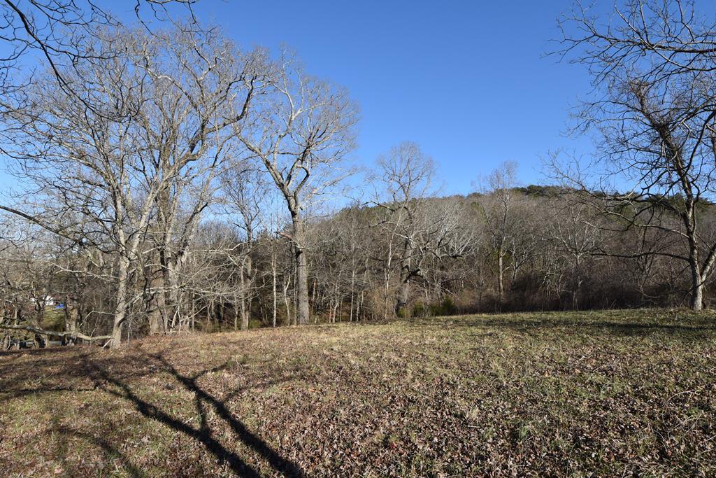 Lot 4 Espalier Drive, Unit 4 Decatur, TN 37322 - Photo 16 of 25 20220320_21