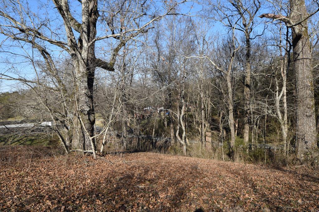Lot 4 Espalier Drive, Unit 4 Decatur, TN 37322 - Photo 18 of 25 20220320_23