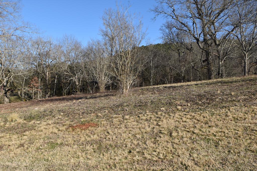 Lot 4 Espalier Drive, Unit 4 Decatur, TN 37322 - Photo 23 of 25 20220320_28