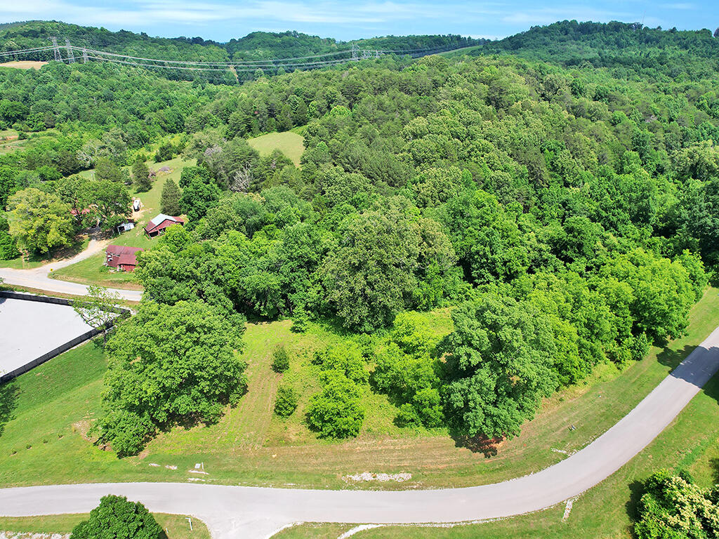 Lot 4 Espalier Drive, Unit 4 Decatur, TN 37322 - Photo 3 of 25 DJI_0680