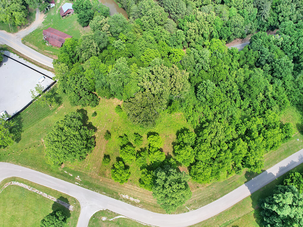 Lot 4 Espalier Drive, Unit 4 Decatur, TN 37322 - Photo 4 of 25 DJI_0682