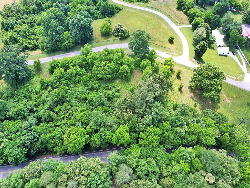 Lot 4 Espalier Drive, Unit 4 Decatur, TN 37322 - Photo 5 of 25 DJI_0683