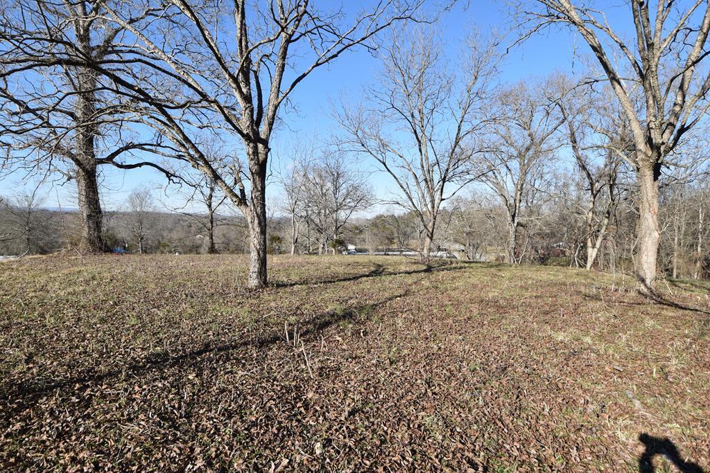 Lot 4 Espalier Drive, Unit 4 Decatur, TN 37322 - Photo 10 of 25 20220320_15