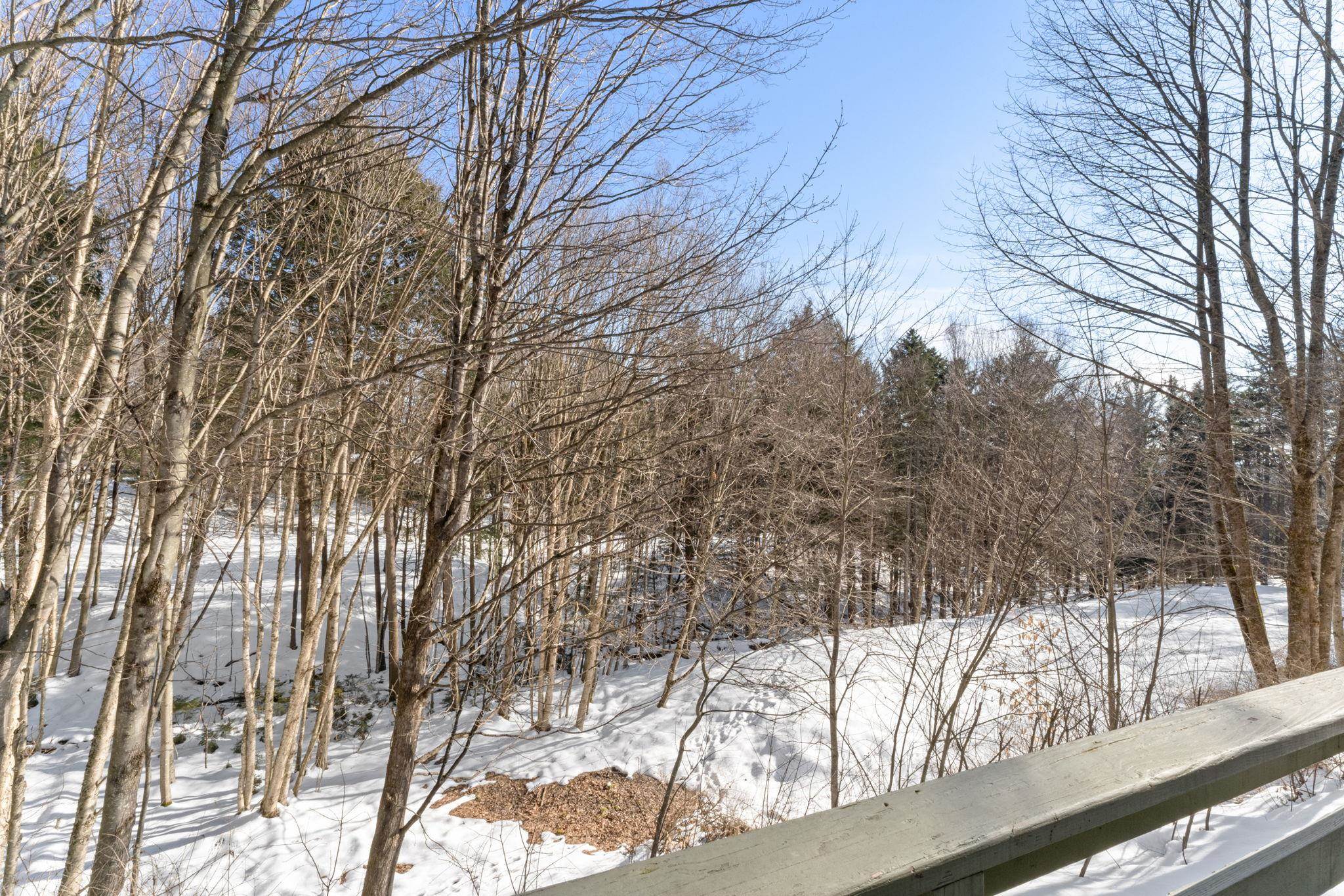 233 Fox Hill Road, Unit 45 Stowe, VT 05672 - Photo 29 of 40 Gallery Image 29