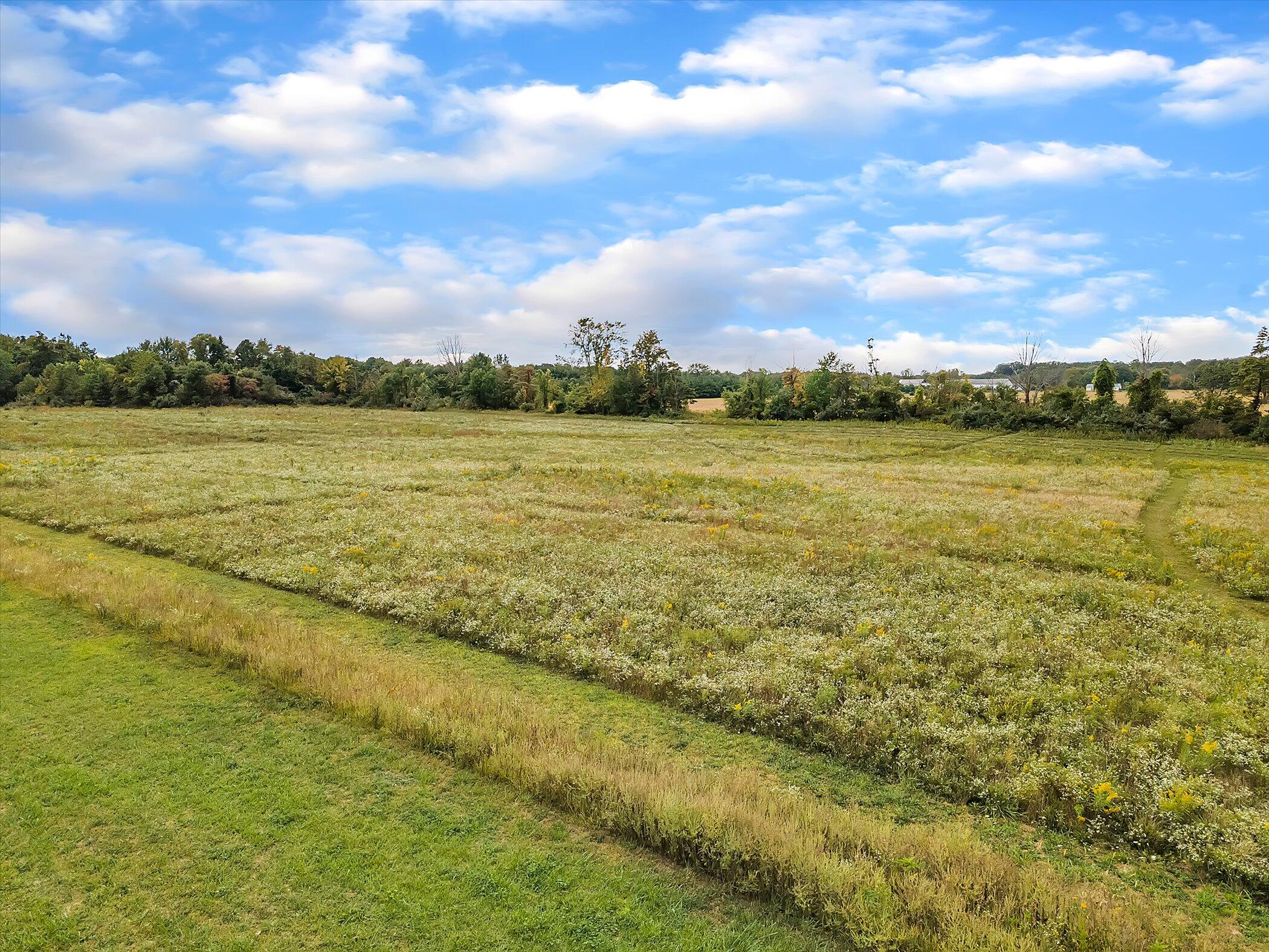Vl Hagar Shore Road Coloma, MI 49038 - Photo 16 of 20 15-Hagar Shore Road-Windowstill Real Est