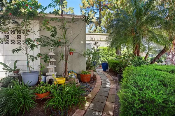 a view of a backyard with plants and a large tree
