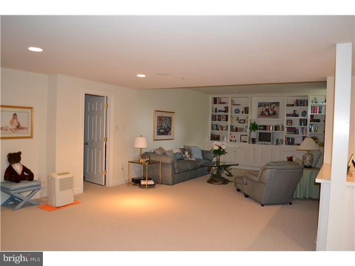351 Trillium Lane Wayne, PA 19087 - Photo 21 of 25 Basement - Finished