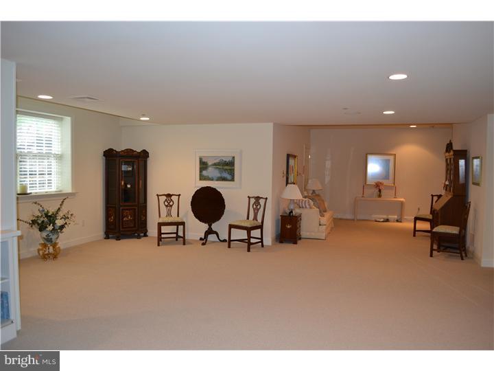 351 Trillium Lane Wayne, PA 19087 - Photo 22 of 25 Basement - Finished