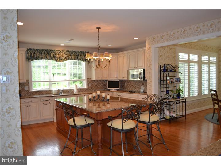 351 Trillium Lane Wayne, PA 19087 - Photo 7 of 25 Kitchen