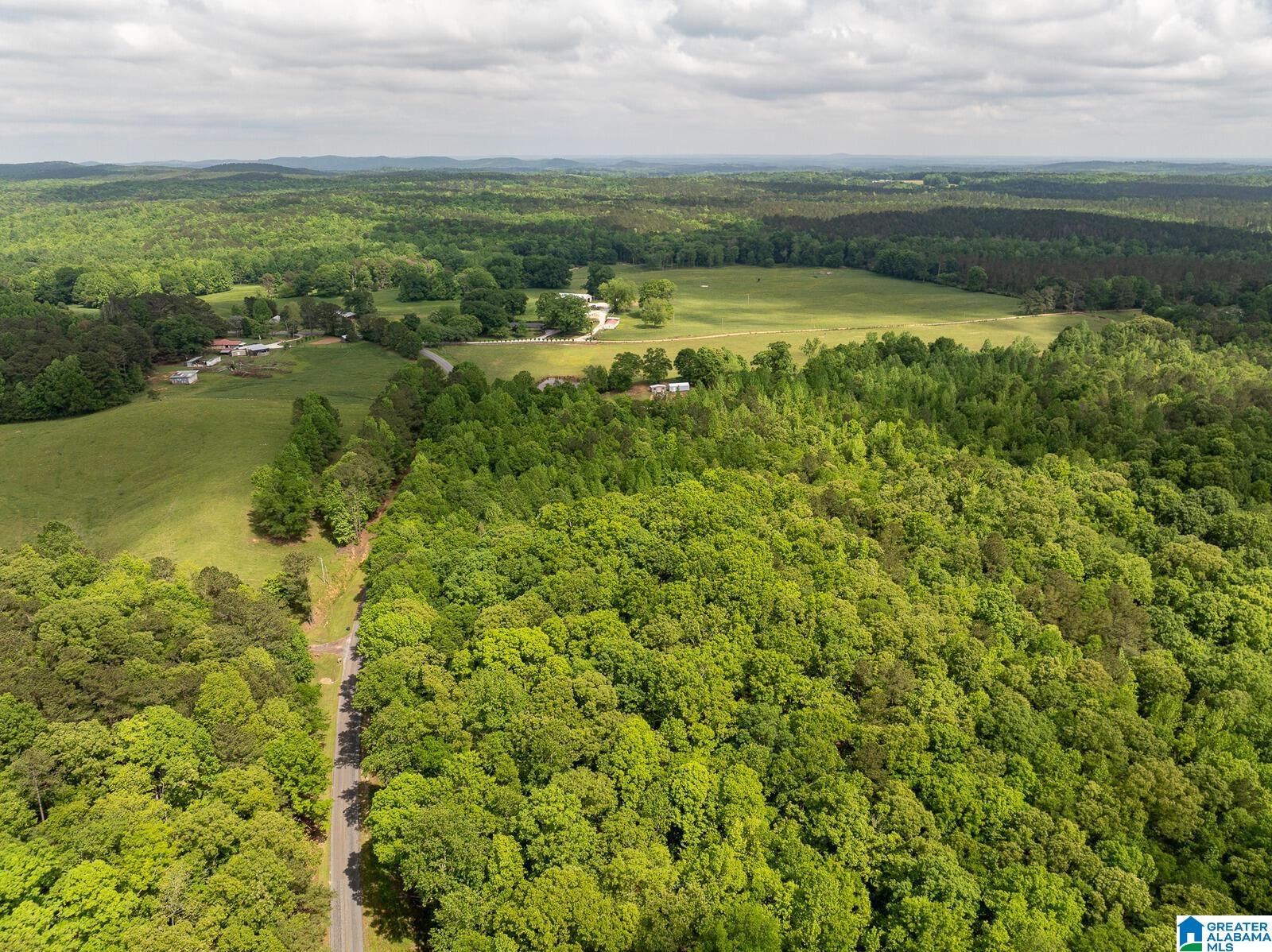 0 Shady Grove Road Goodwater, AL 35072 - Photo 3 of 17