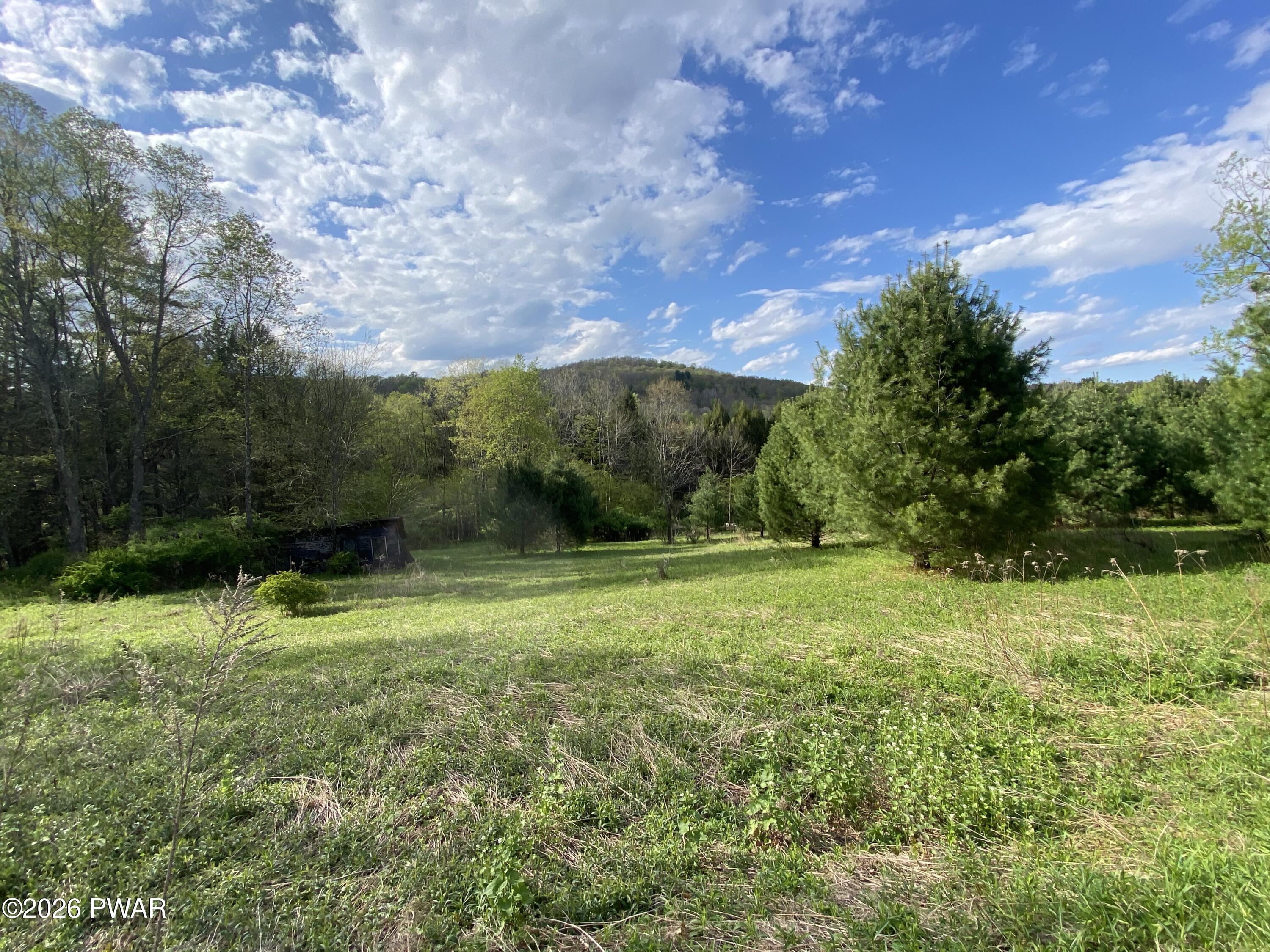 0 John Davis Road Beach Lake, PA 18405 - Photo 1 of 22