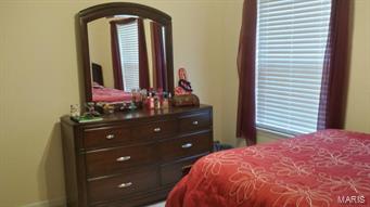 1911 Smizer Mill Road Fenton, MO 63026 - Photo 18 of 34 Gallery Image 18