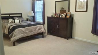 1911 Smizer Mill Road Fenton, MO 63026 - Photo 19 of 34 Gallery Image 19