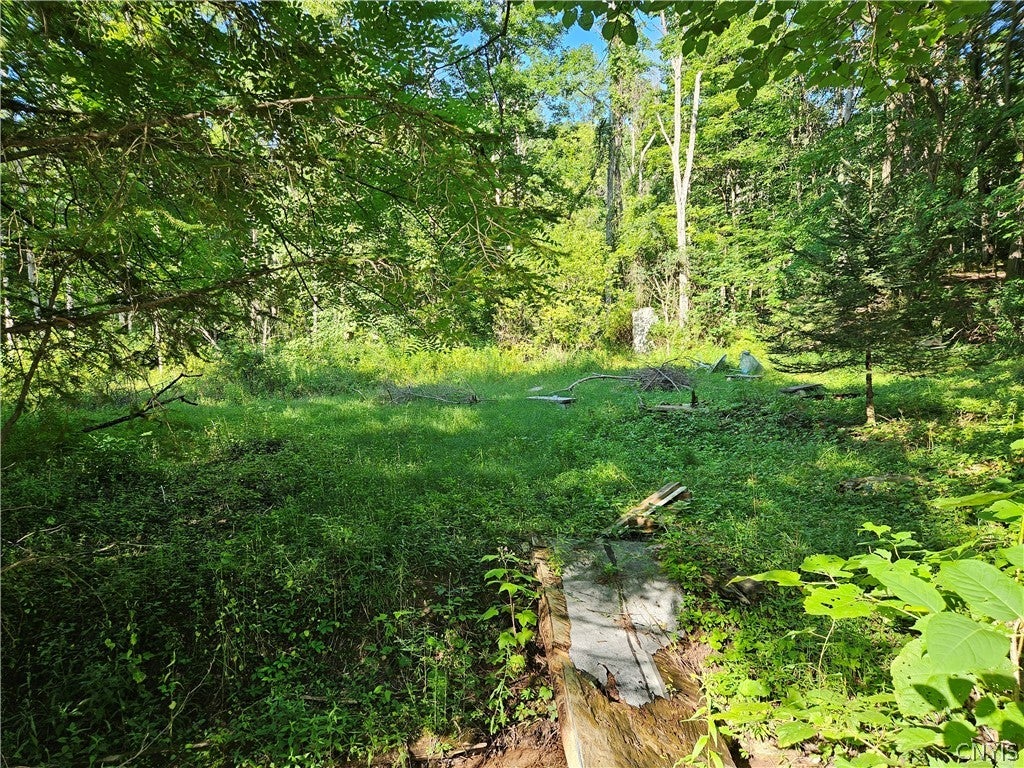 Stables Road Chittenango, NY 13037 - Photo 2 of 5 Gallery Image 2