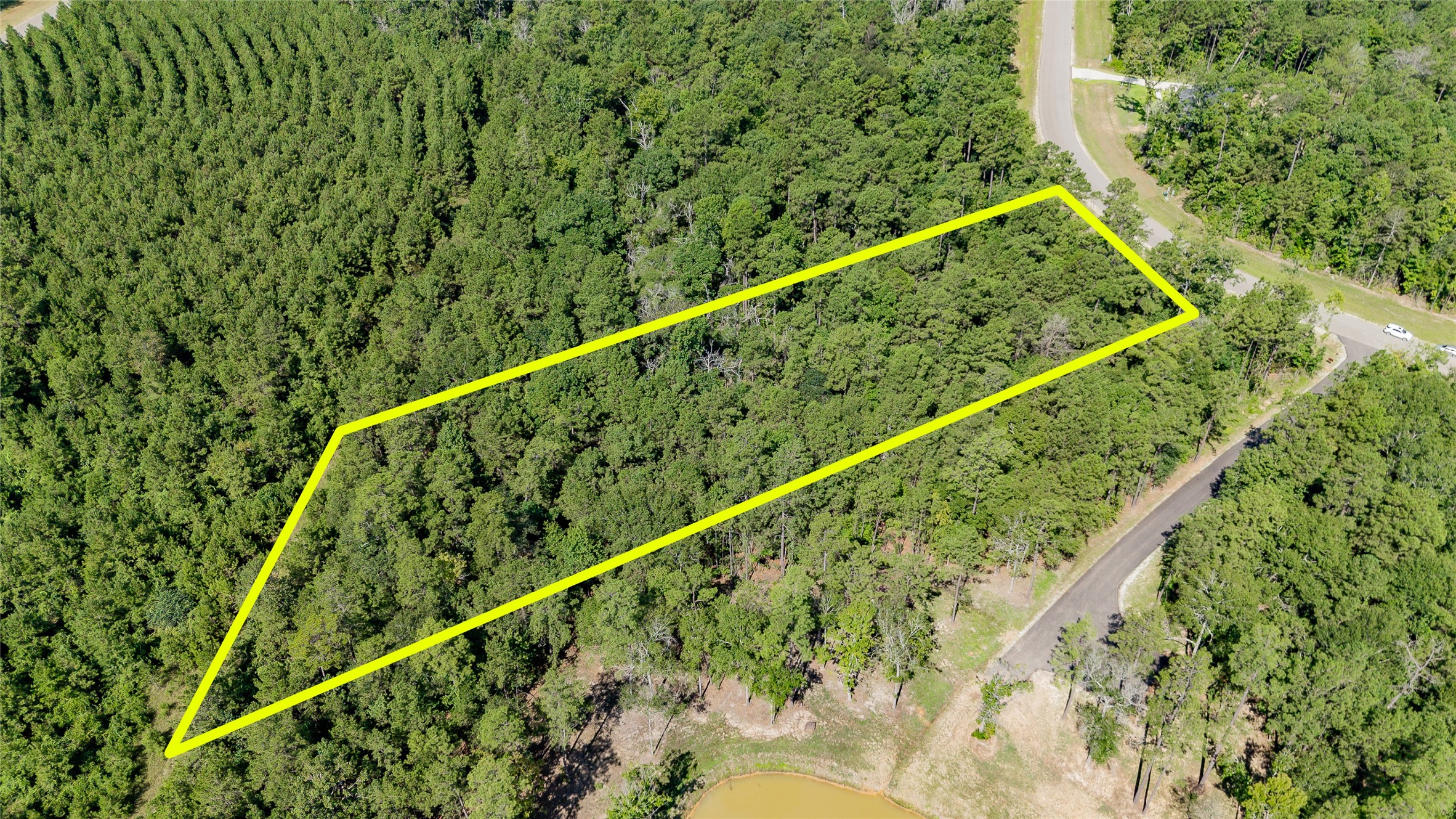 194 Exploration Road Willis, TX 77378 - Photo 12 of 17 a view of a green field with a tree