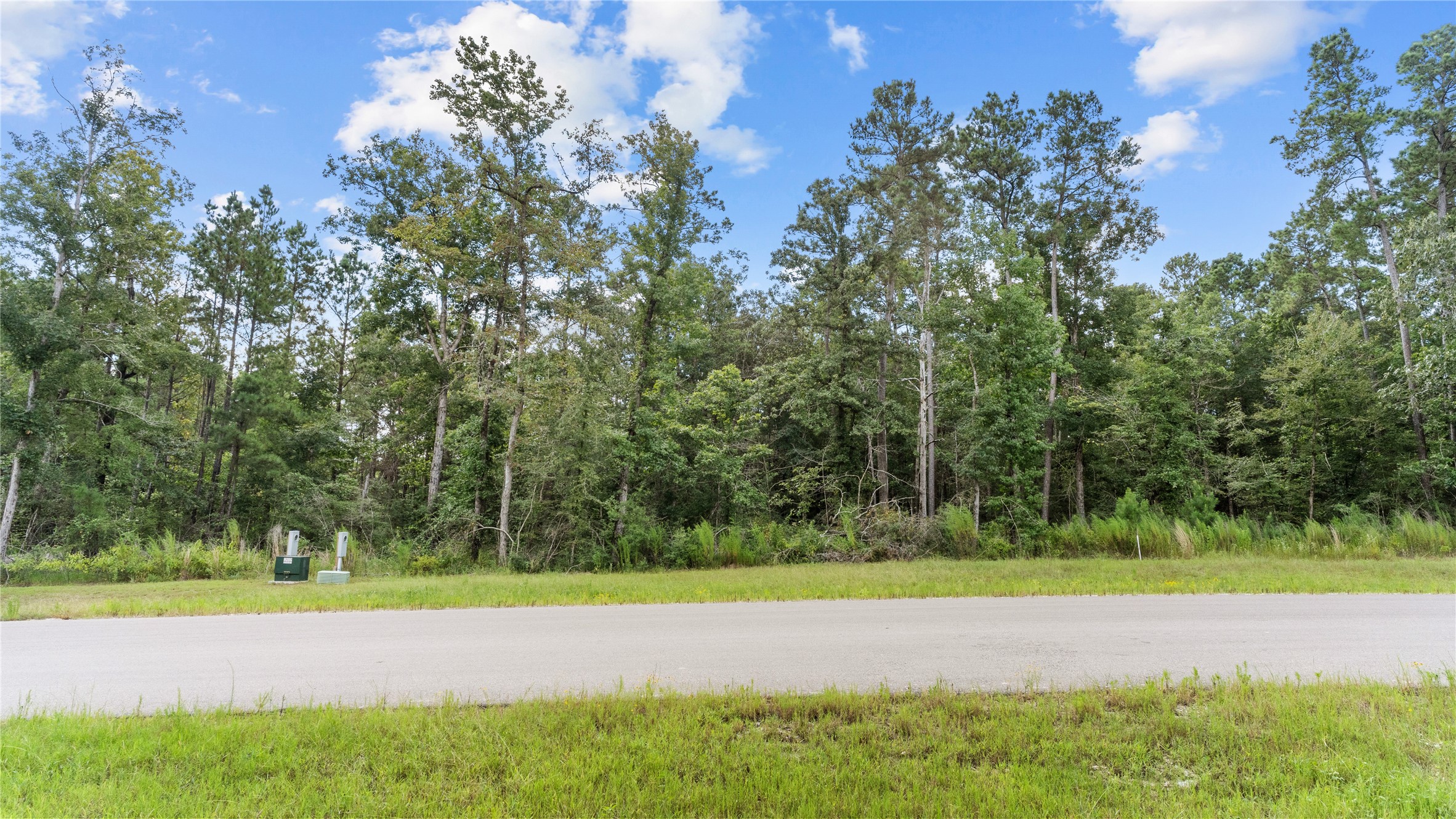 194 Exploration Road Willis, TX 77378 - Photo 2 of 17 a view of a yard
