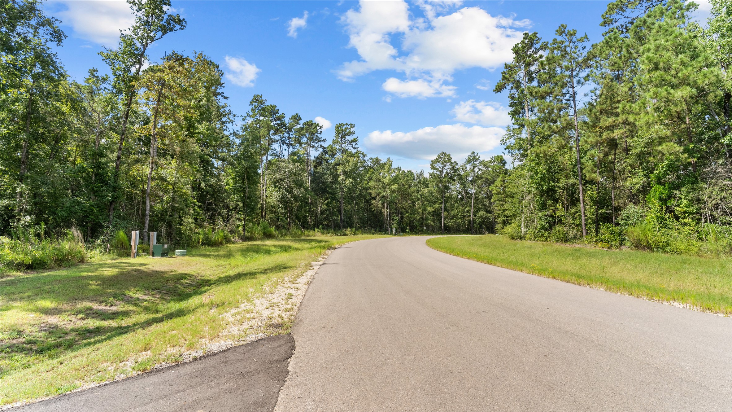 194 Exploration Road Willis, TX 77378 - Photo 10 of 17 a view of a yard with large trees