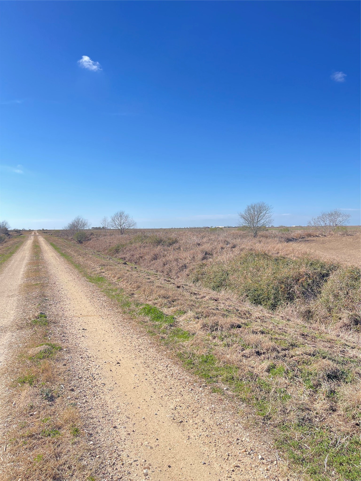 768 Million Dollar Road Palacios, TX 77465 - Photo 26 of 49