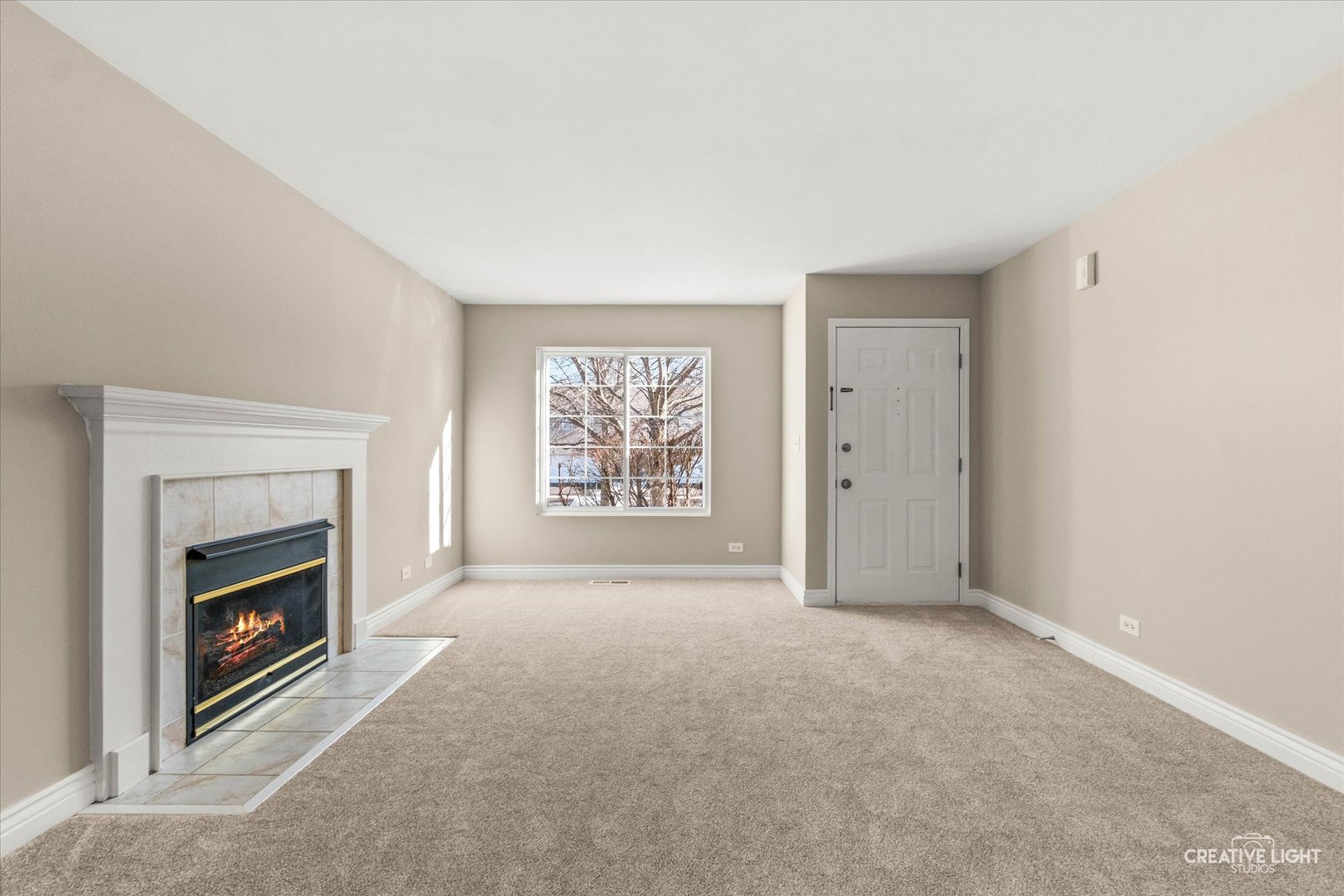 862 North 1st Street, Unit 862 Elburn, IL 60119 - Photo 5 of 32 a view of empty room with a fireplace