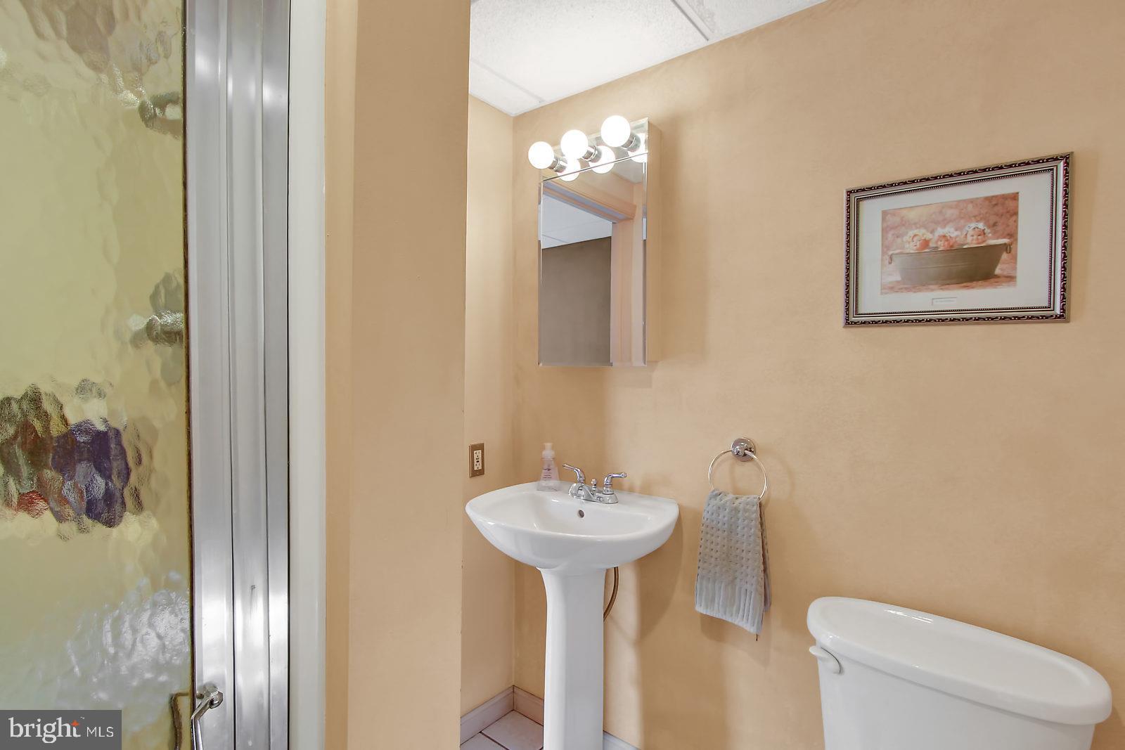 327 South Broad Street Lititz, PA 17543 - Photo 14 of 25 First Floor Full Bath
