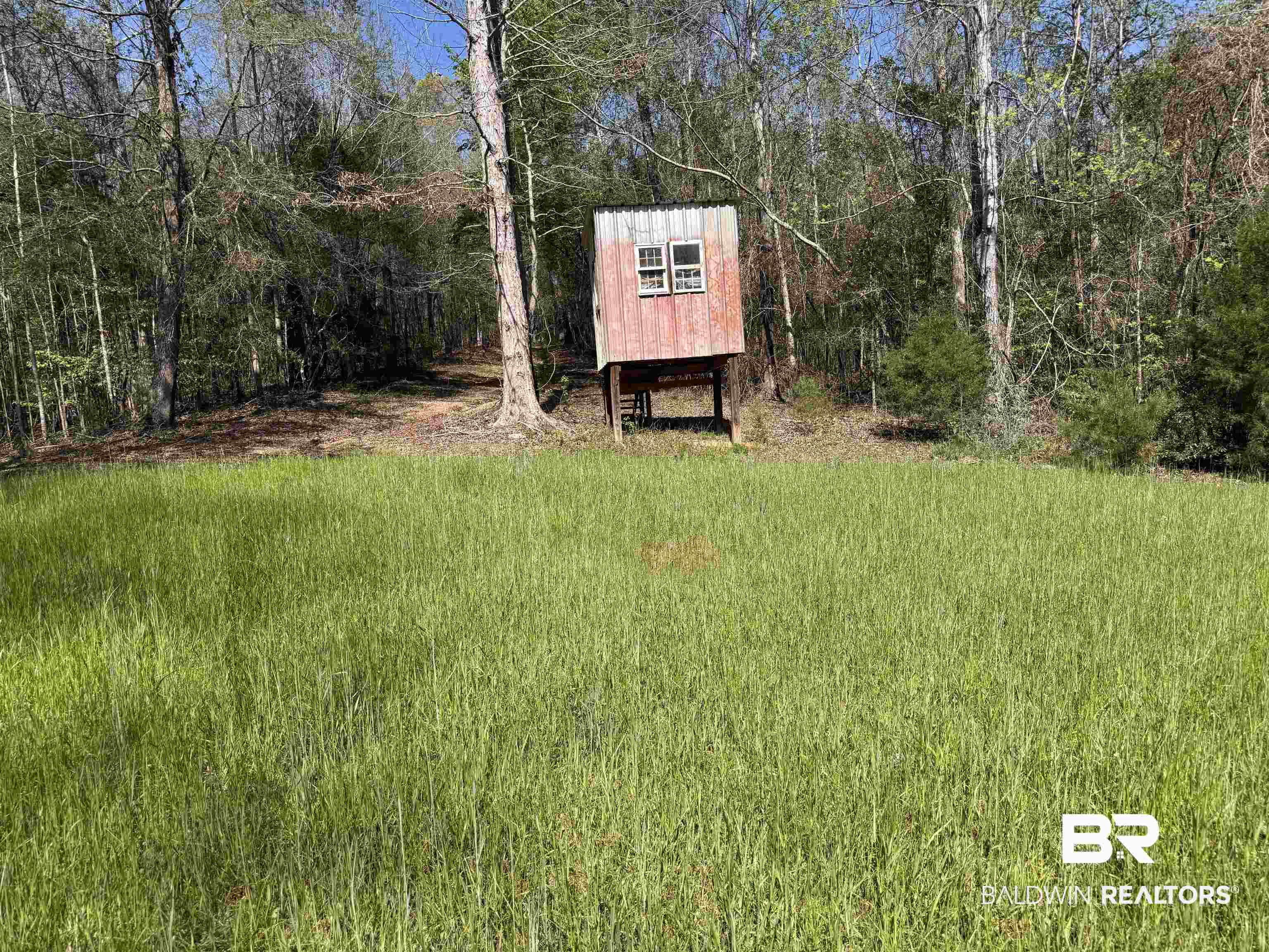 516 Mill Creek Road Frisco City, AL 36445 - Photo 30 of 32 View of yard