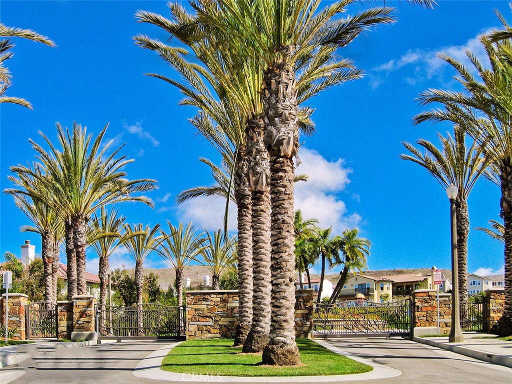 1609 Vista Luna San Clemente, CA 92673 - Photo 24 of 33 a view of a palm trees