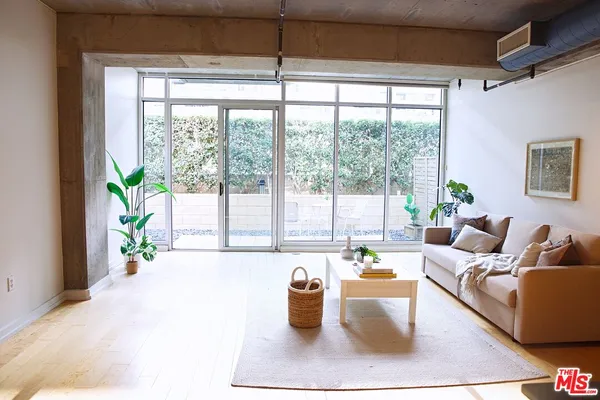 a living room with furniture and potted plant