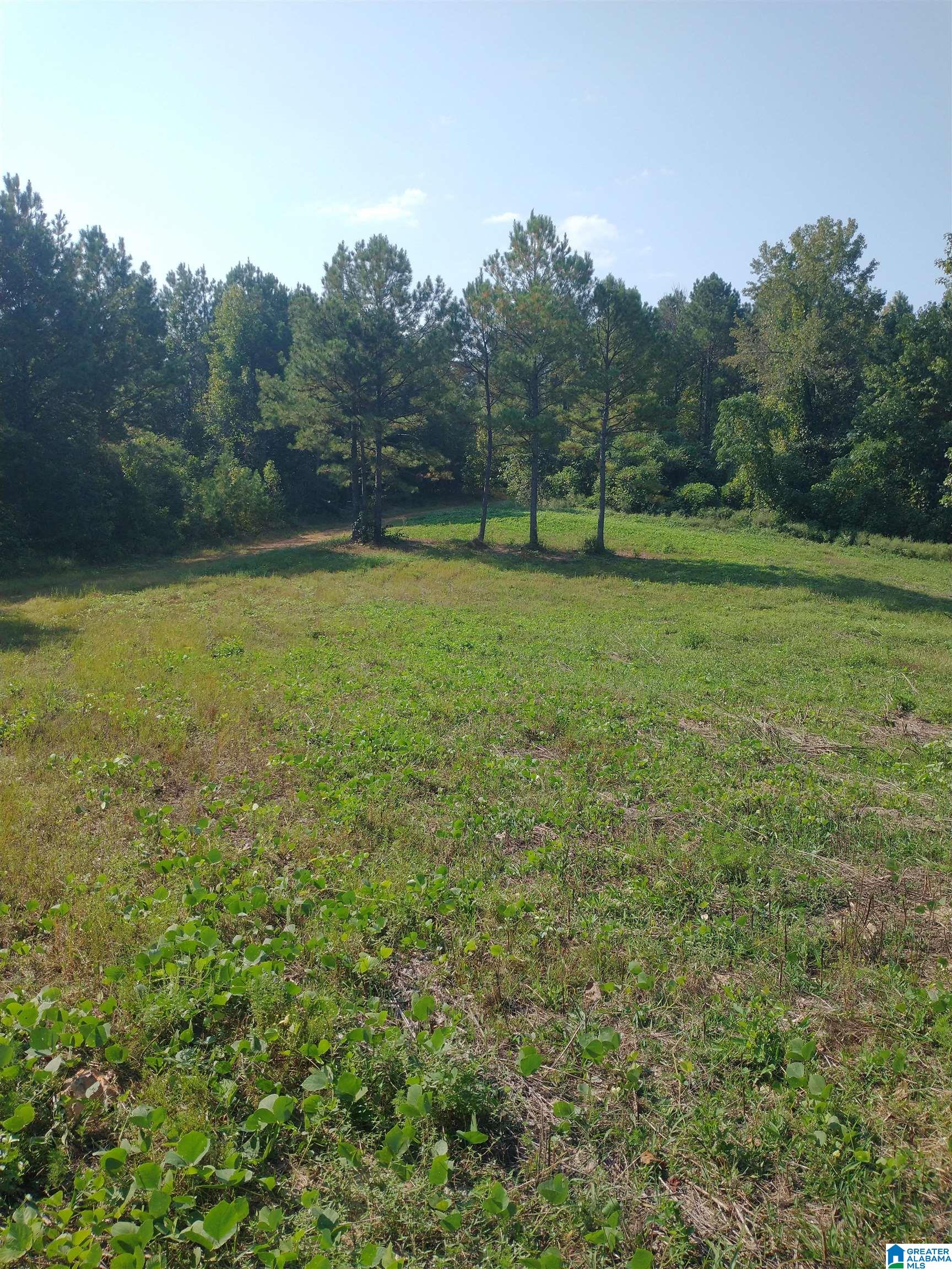 8100 Mckesie Street, Unit 81 ACRES Riverside, AL 35135 - Photo 11 of 18
