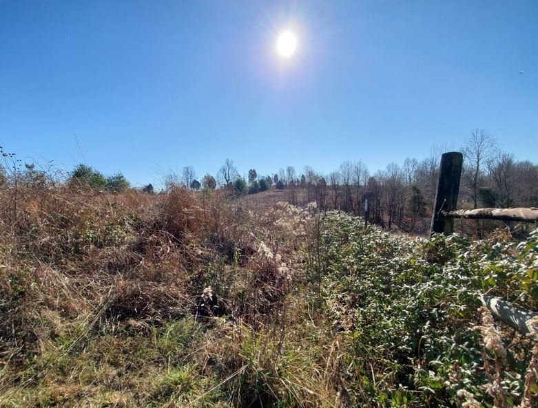 148 Turci Nevins Road Caneyville, KY 42721 - Photo 17 of 32 Gallery Image 17