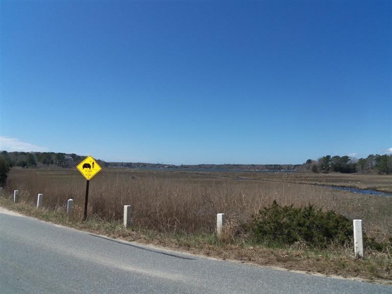 31 Monomoscoy Road Mashpee, MA 02649 - Photo 2 of 33 Additional Photo