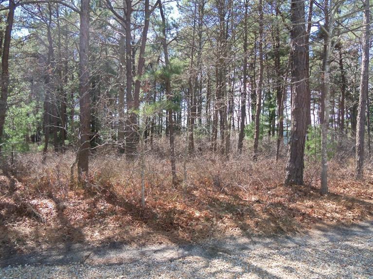 31 Monomoscoy Road Mashpee, MA 02649 - Photo 25 of 33 Additional Photo