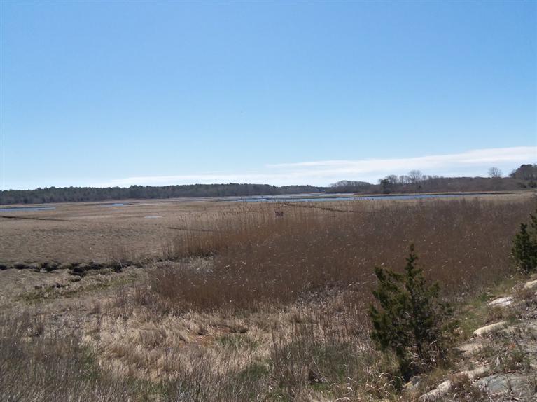 31 Monomoscoy Road Mashpee, MA 02649 - Photo 3 of 33 Additional Photo