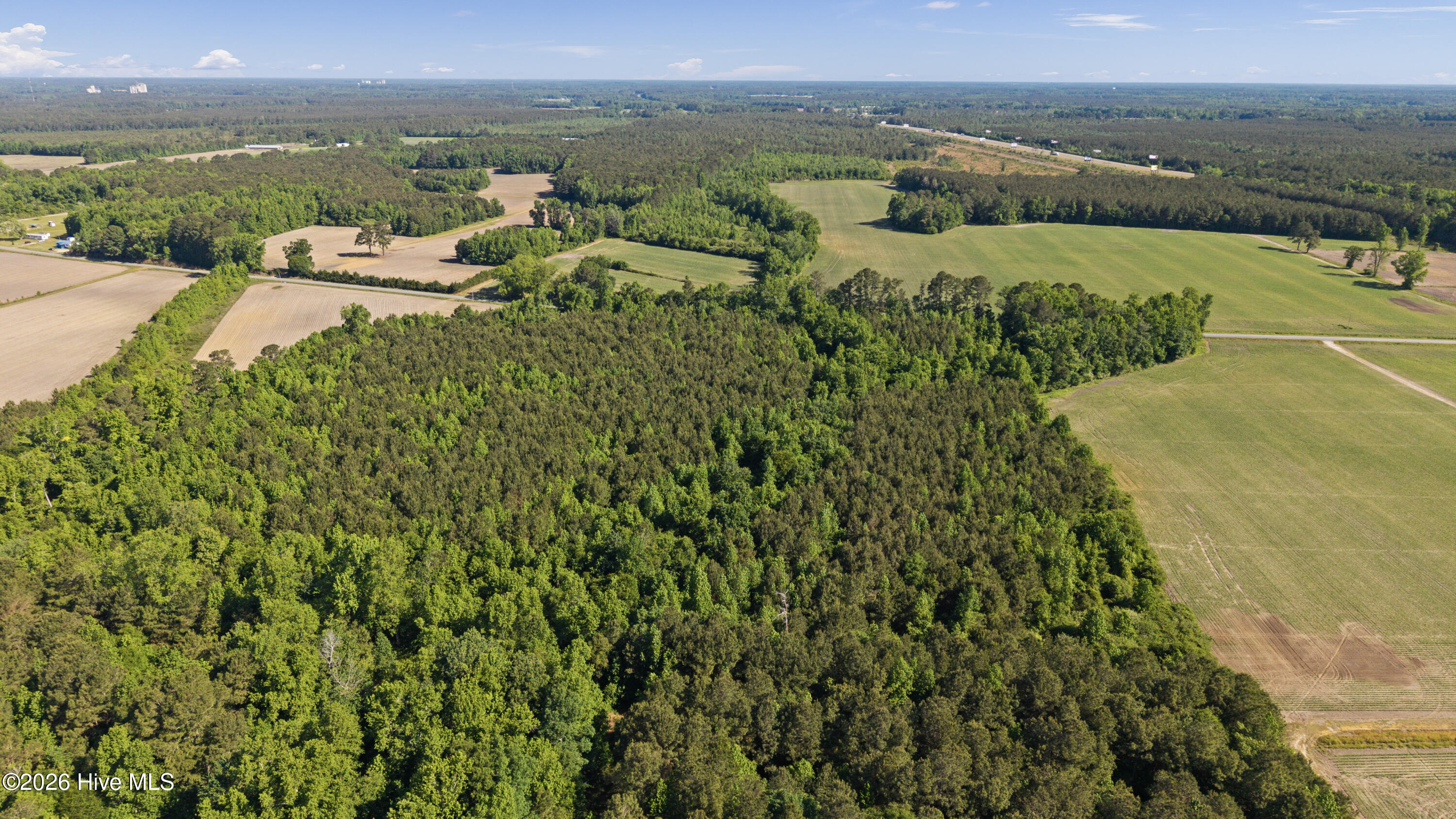 26-acres High School Road Teachey, NC 28464 - Photo 9 of 23 13-DJI_20260428094313_0077_D