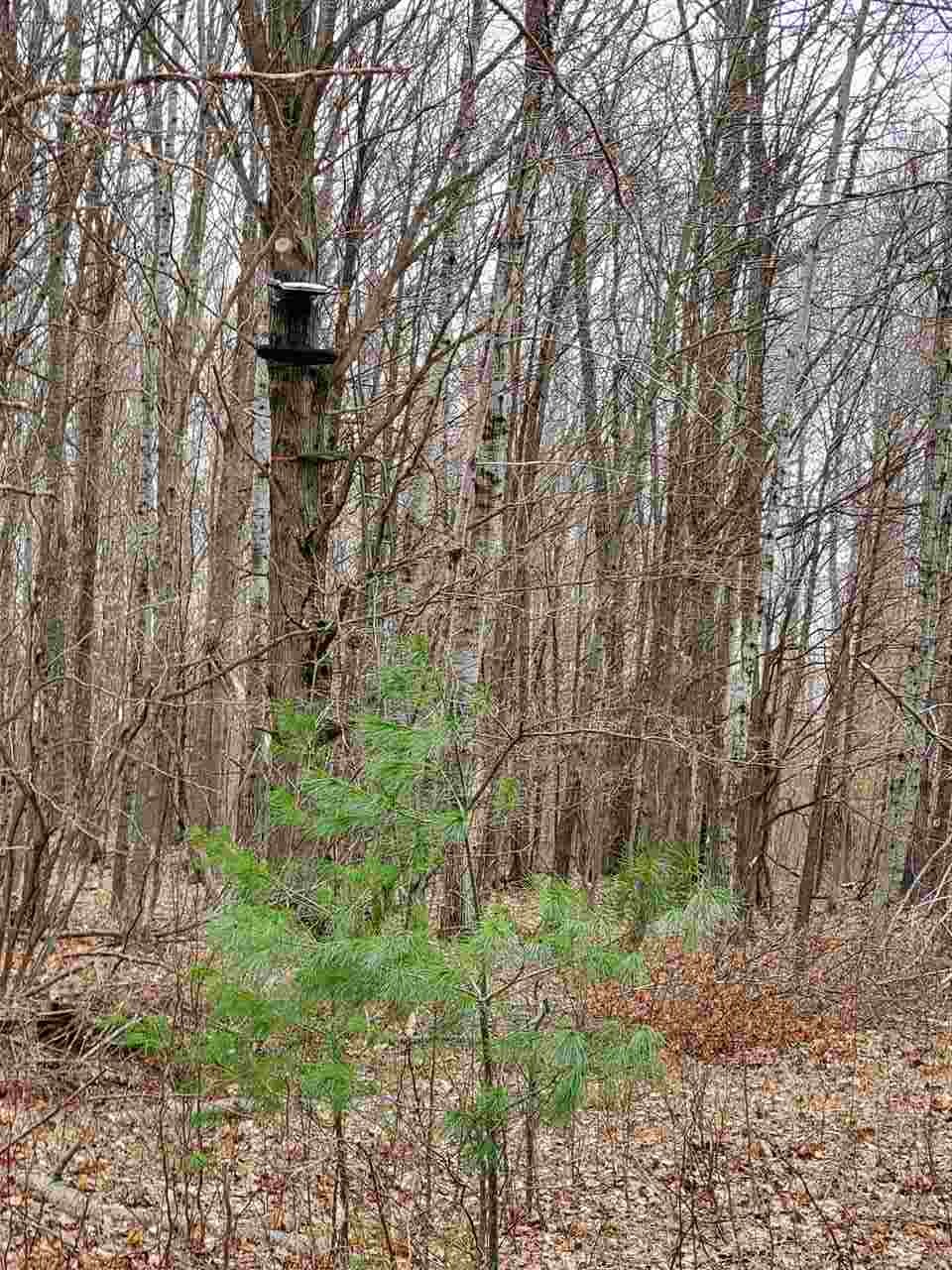 12262 Kerry Road Brethren, MI 49619 - Photo 25 of 95 1885414-24.JPG