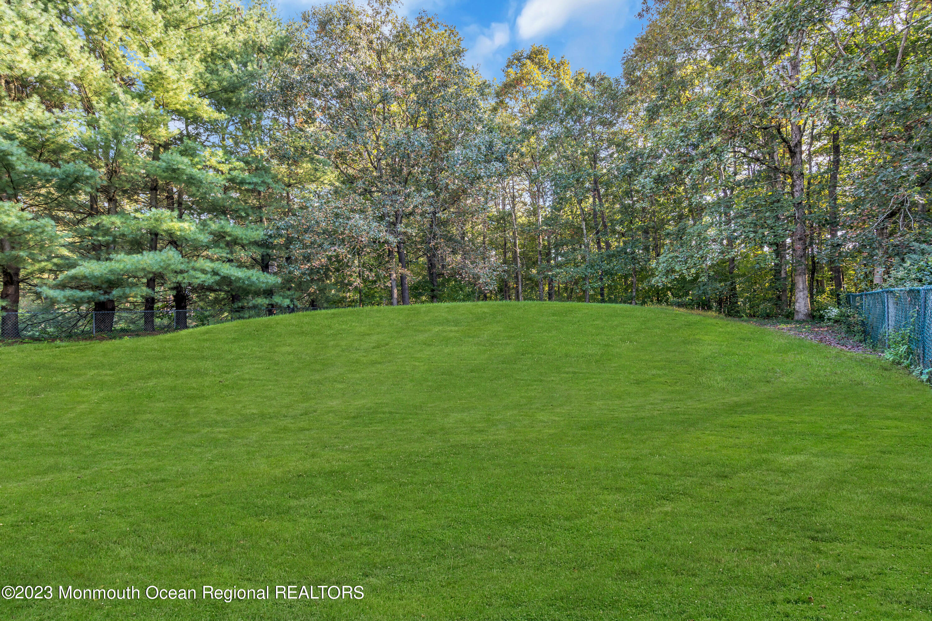 442 Frank Applegate Road Jackson, NJ 08527 - Photo 53 of 88 a view of a grassy field with trees