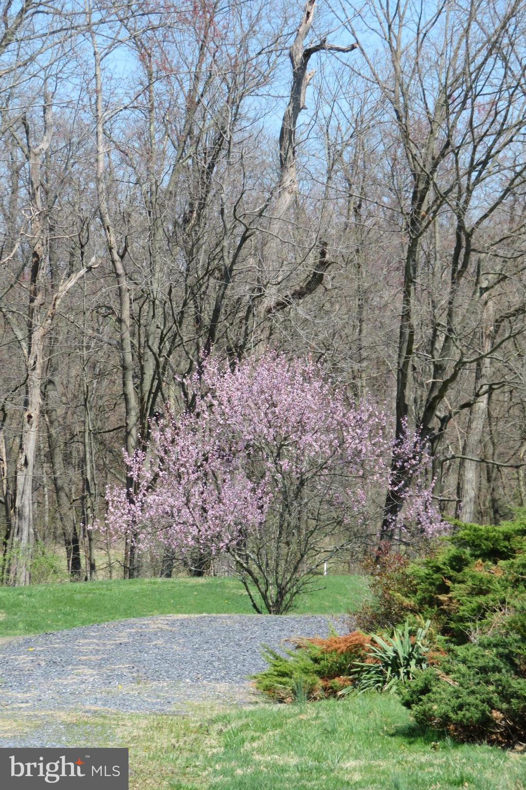 120 Babylon Road Littlestown, PA 17340 - Photo 19 of 22 View