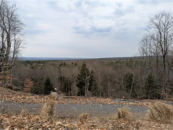 $325,000 | 6188 Independence Lane, Greig, NY 13343