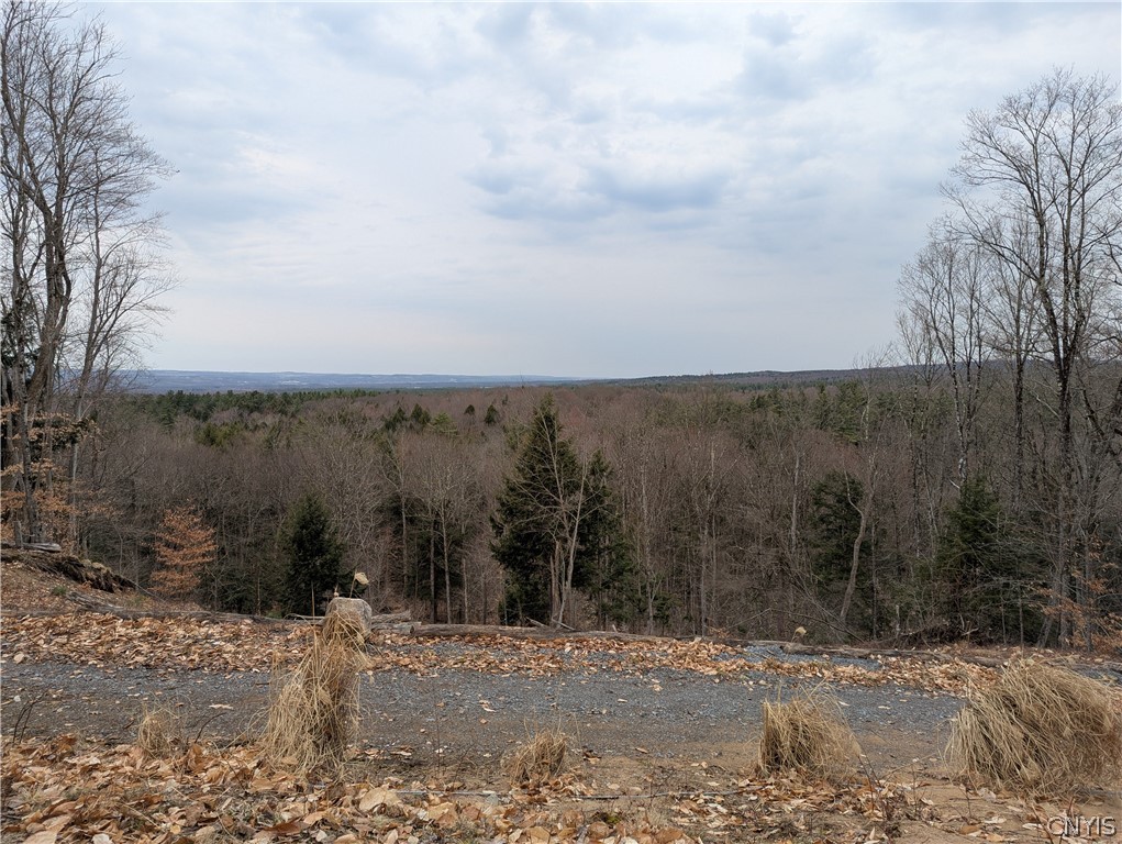 6188 Independence Lane Greig, NY 13343 - Photo 8 of 36