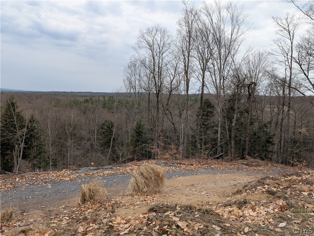 6188 Independence Lane Greig, NY 13343 - Photo 9 of 36