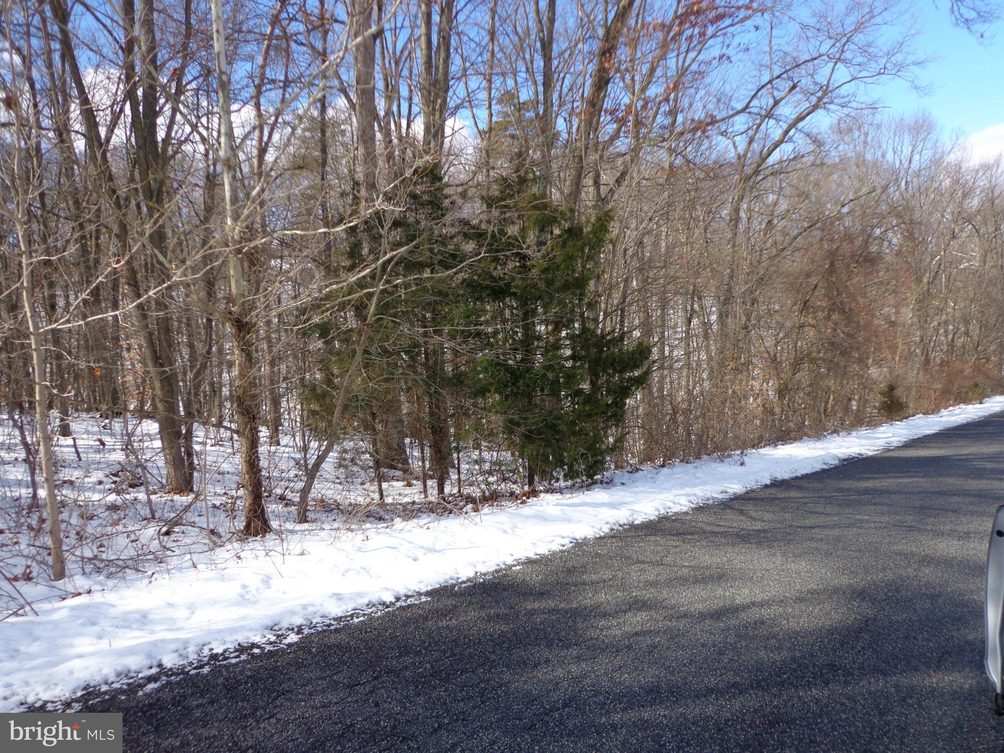Gideon Lane Falling Waters, WV 25419 - Photo 2 of 4 View