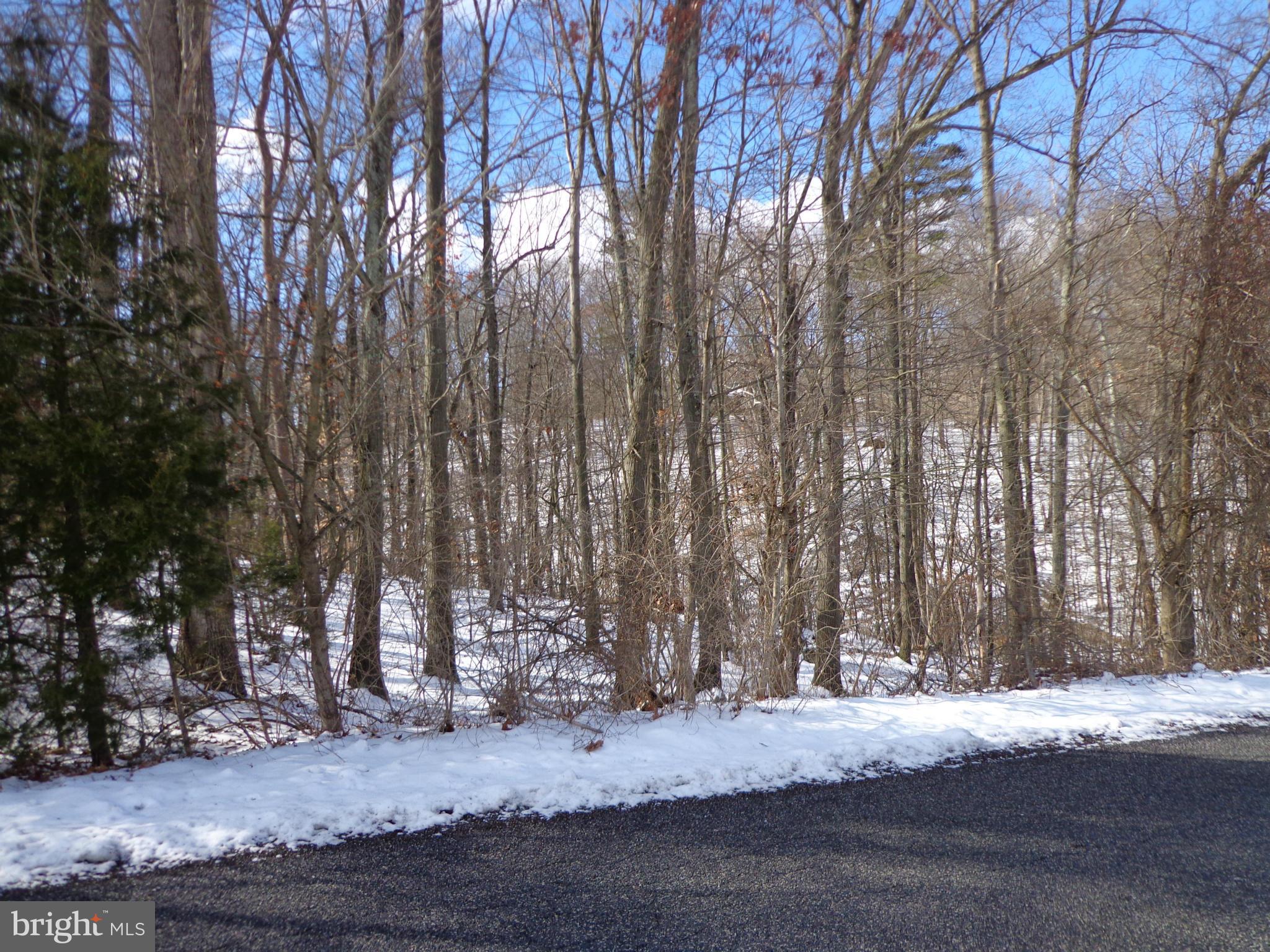 Gideon Lane Falling Waters, WV 25419 - Photo 3 of 4 View